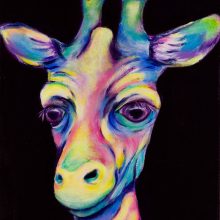 Emrick’s Heidi 12×24
