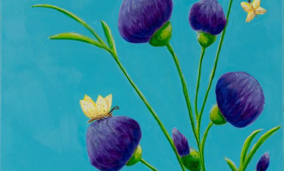 Vieyra’s Butterflies & Bachelor Buttons 20×24